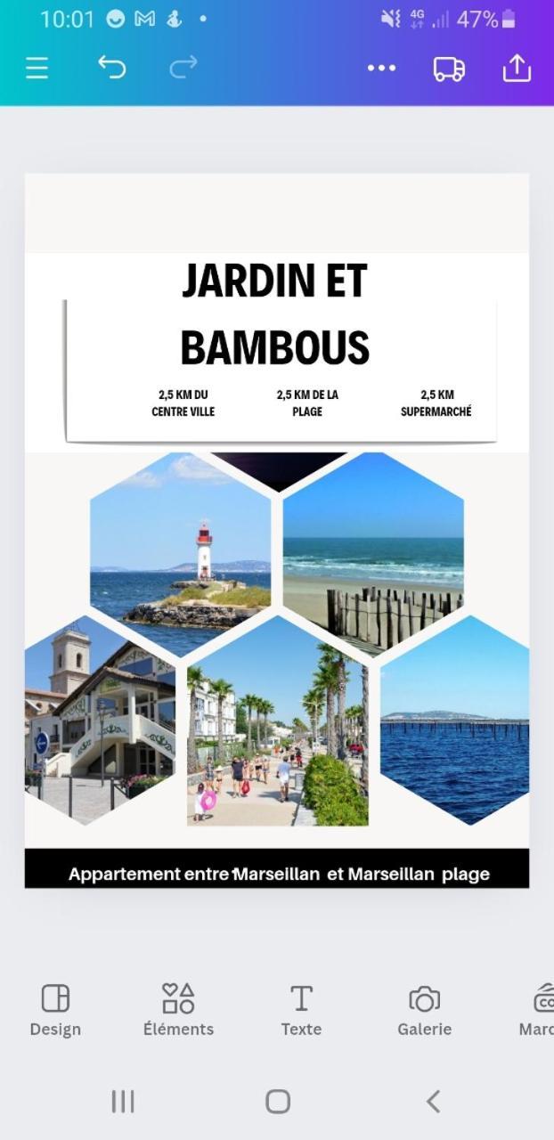Jardin Et Bambous, Studio Cosy, Classe 2 Etoiles Marseillan  Exterior foto