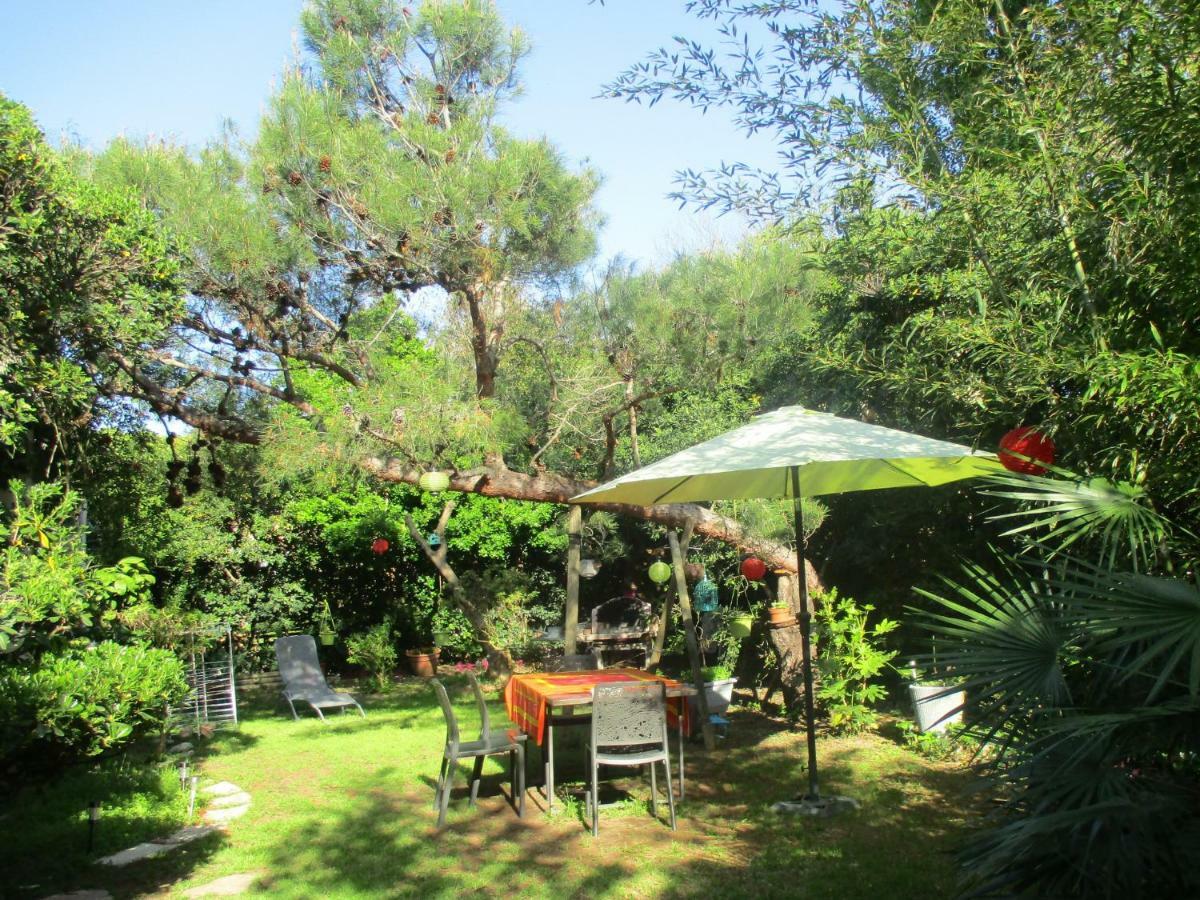 Jardin Et Bambous, Studio Cosy, Classe 2 Etoiles Marseillan  Exterior foto