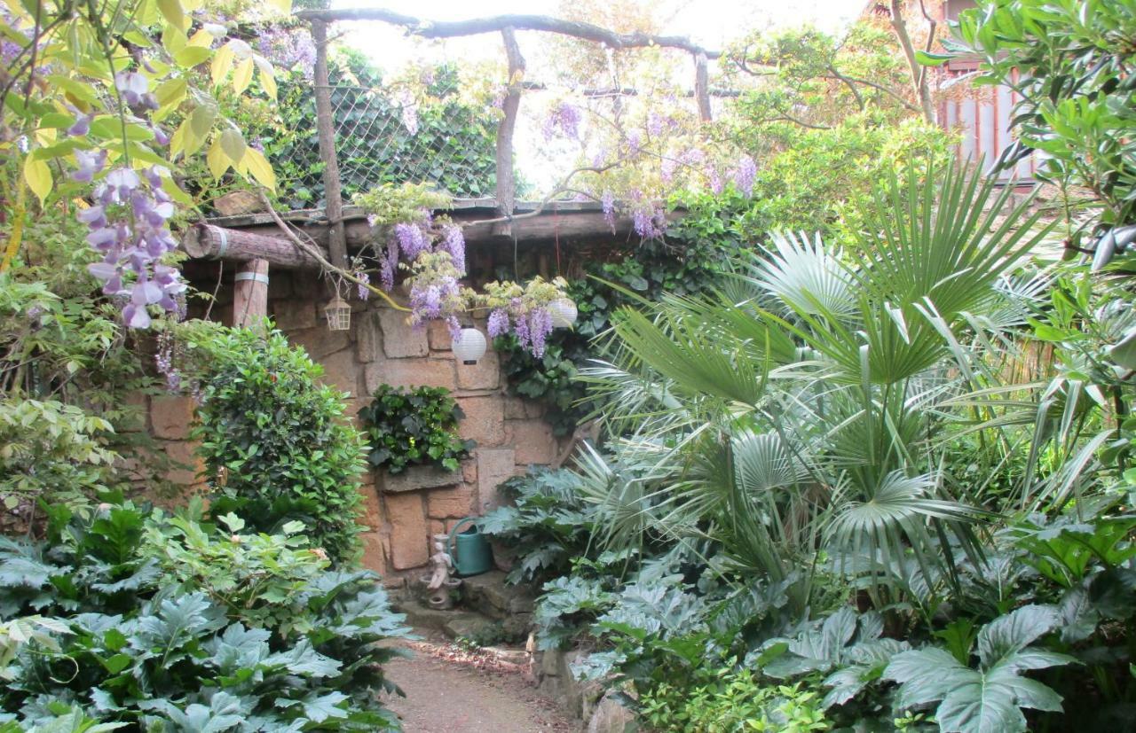 Jardin Et Bambous, Studio Cosy, Classe 2 Etoiles Marseillan  Exterior foto