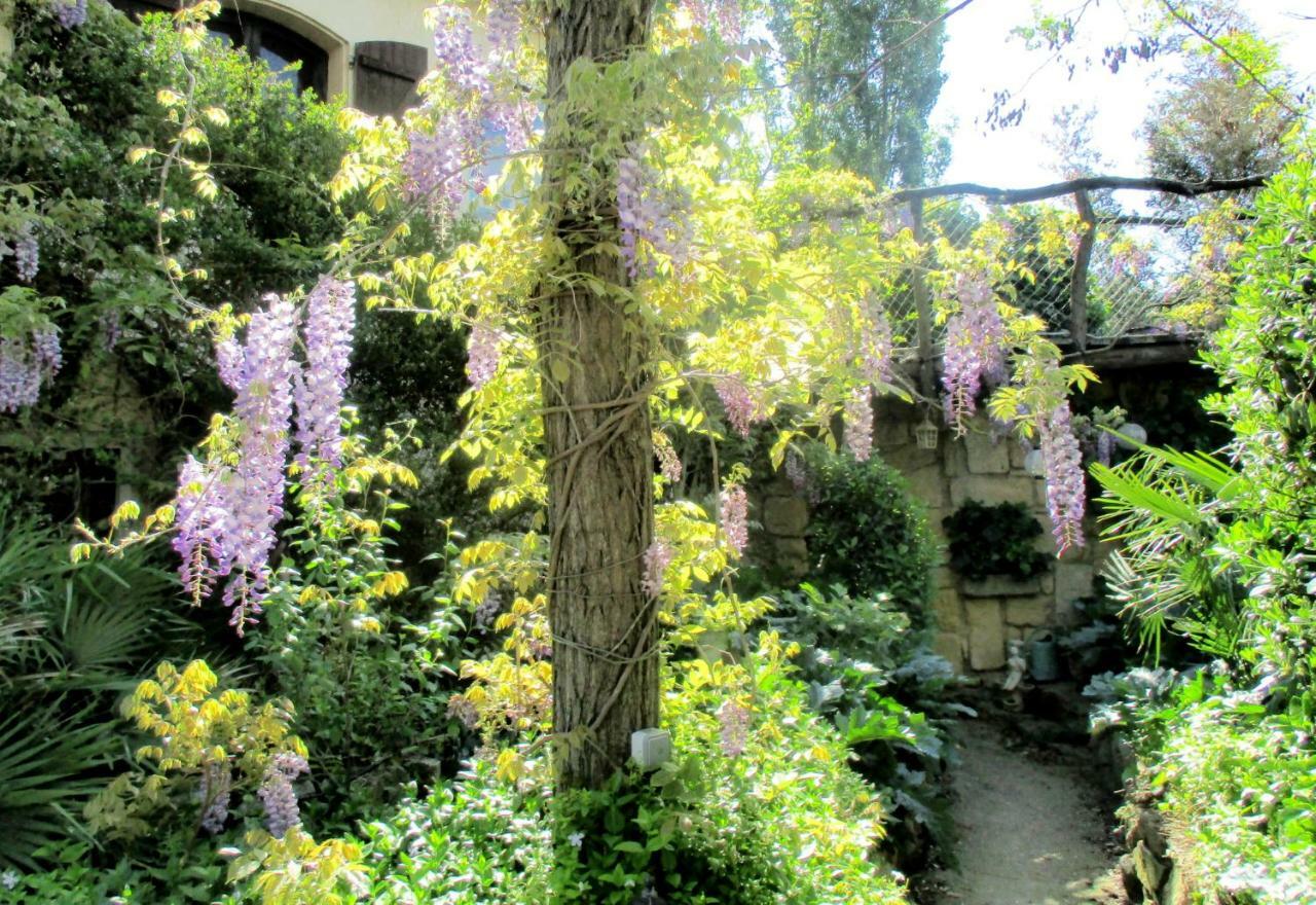 Jardin Et Bambous, Studio Cosy, Classe 2 Etoiles Marseillan  Exterior foto
