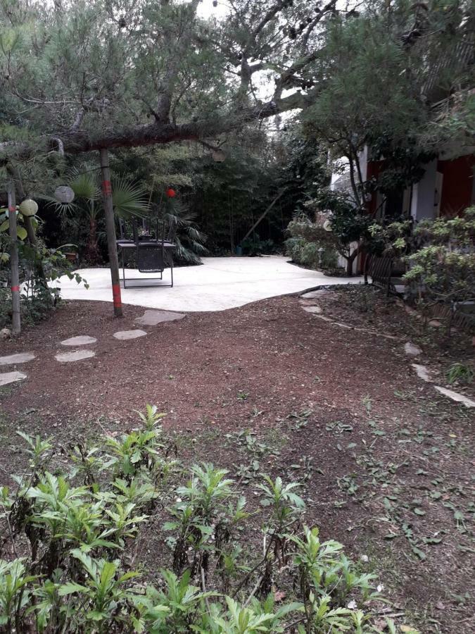 Jardin Et Bambous, Studio Cosy, Classe 2 Etoiles Marseillan  Exterior foto