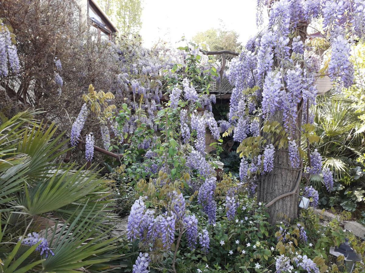 Jardin Et Bambous, Studio Cosy, Classe 2 Etoiles Marseillan  Exterior foto