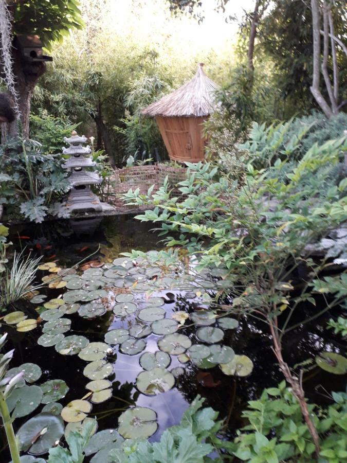 Jardin Et Bambous, Studio Cosy, Classe 2 Etoiles Marseillan  Exterior foto